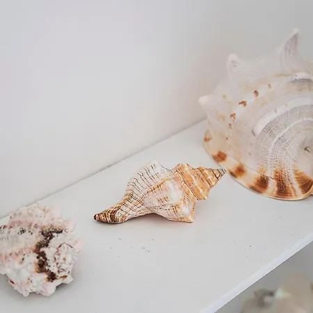 Appartamento La Musa Bergeggi