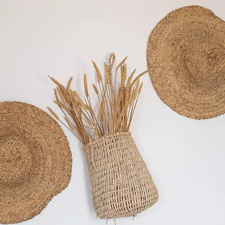 Appartamento La Musa *